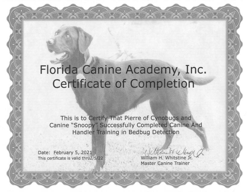 certificat canine academy pour la detection canine de punaises de lit