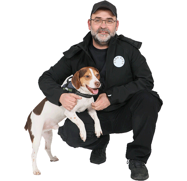 Maîtres chiens Pierre et Armand avec chiens renifleurs Snoopy et Sparrow en action lors d’une détection de punaises de lit