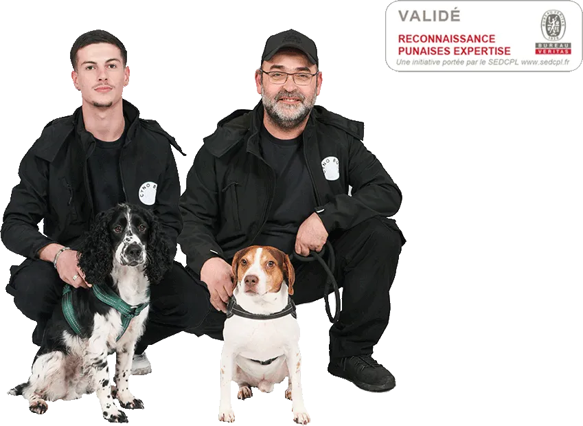 Équipe Cyno Bugs spécialiste détection canine punaises de lit à Paris avec chiens détecteurs certifiés