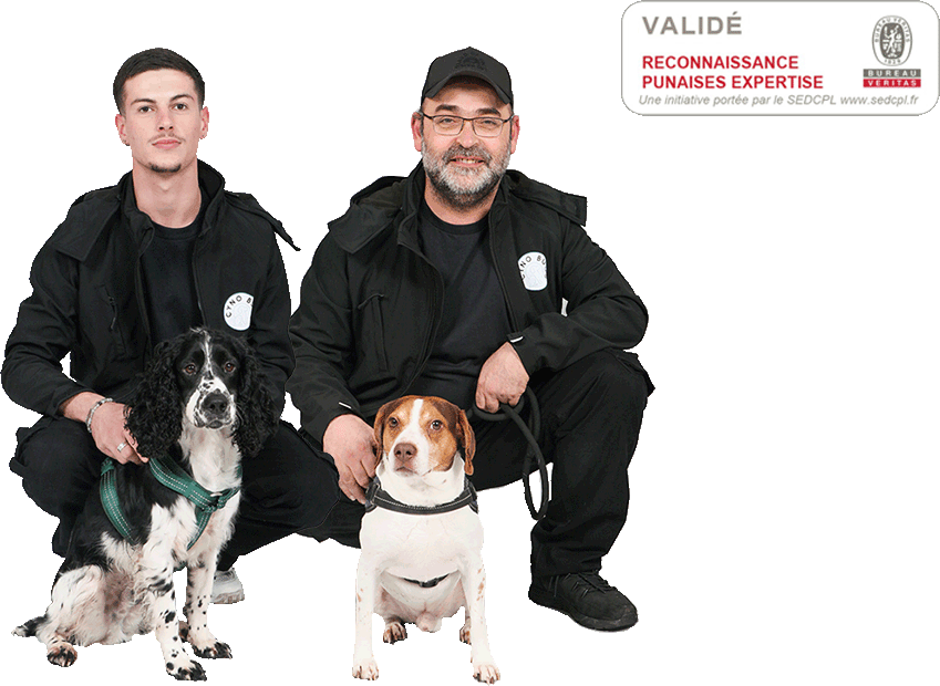 Équipe Cyno-Bugs spécialisée en détection canine de punaises de lit à Paris avec chiens détecteurs certifiés