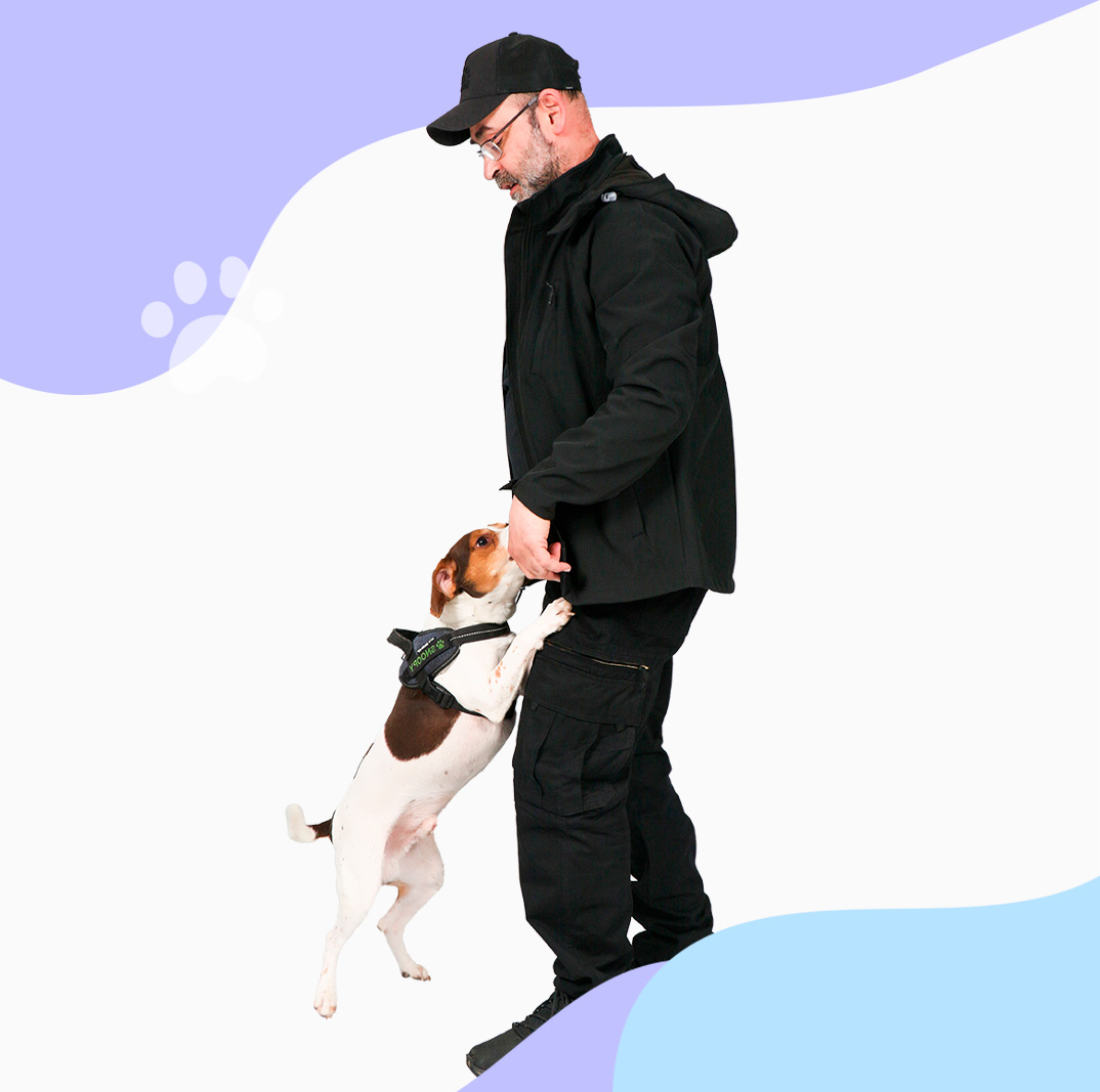 Pierre, détecteur professionnel chez Cyno Bugs, avec son chien Snoopy, expert en détection de punaises de lit.